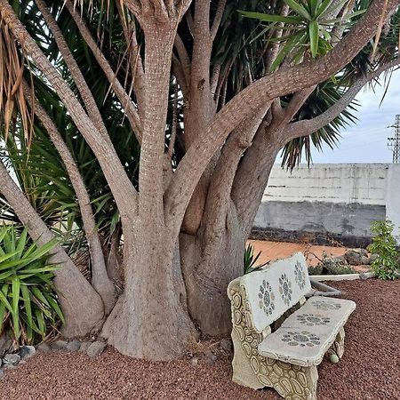 Tenerife Apartment Dulcynea With Terrace And Garden 600M2 With Ocean And Teide View Ікод-де-лос-Вінос Екстер'єр фото