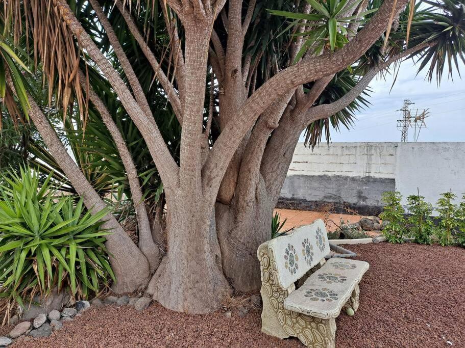 Tenerife Apartment Dulcynea With Terrace And Garden 600M2 With Ocean And Teide View Ікод-де-лос-Вінос Екстер'єр фото