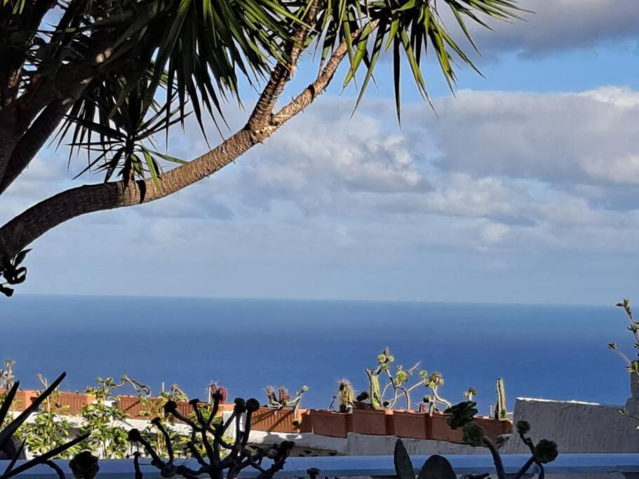 Tenerife Apartment Dulcynea With Terrace And Garden 600M2 With Ocean And Teide View Ікод-де-лос-Вінос Екстер'єр фото